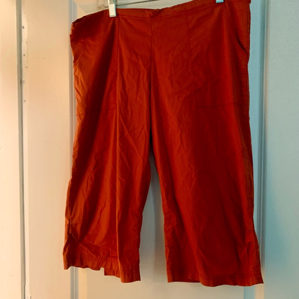 Rust Orange Capri length be present pants in orange. 🍊